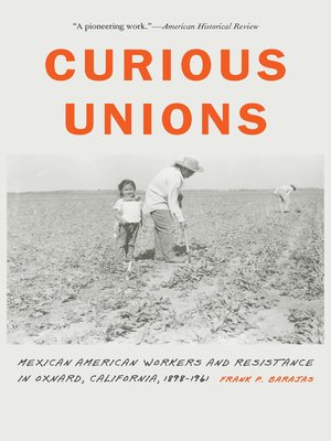 cover image of Curious Unions